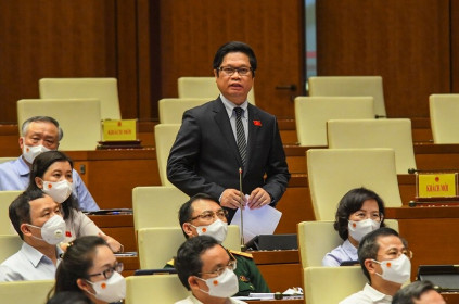 Nhiều doanh nghiệp hàng không, du lịch, nhà hàng, khách sạn, vận tải... đang “chết mòn” vì đại dịch
