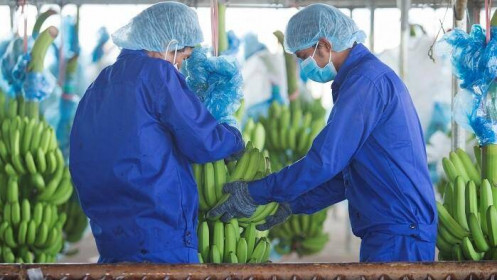 BIDV đồng ý hoàn trả 3 giấy tờ đất để HAGL Agrico bàn giao cho Thagrico