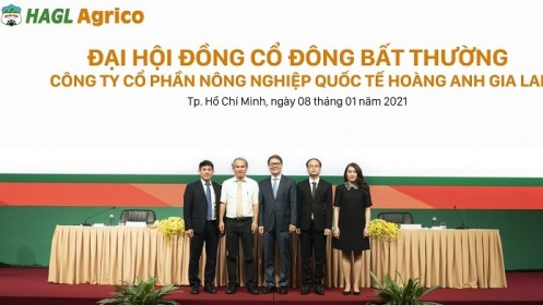 Tỷ phú Trần Bá Dương “quay xe”, tiếp tục bơm vốn cho HAGL Agrico