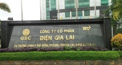 Điện Gia Lai: Doanh thu tăng nhờ hoạt động bán điện, dự kiến chi trả cổ tức tỷ lệ 8%