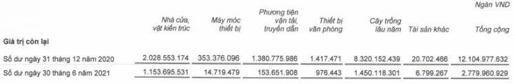 HAG báo lãi ròng quý 2 hơn 86 tỷ, ghi lỗ lũy kế hơn 7.5 ngàn tỷ đồng