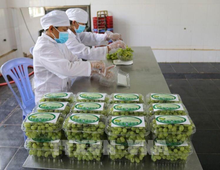 Ninh Thuận hỗ trợ các doanh nghiệp tham gia kênh phân phối hiện đại
