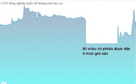 Nhà đầu tư “nhận trái đắng” vì HNG