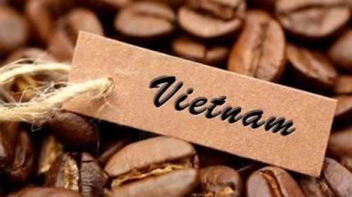Giá cà phê hôm nay 27/7: Thêm một phiên tăng vọt, thị trường tiếp tục nóng; Khả năng vượt đỉnh của cà phê robusta?