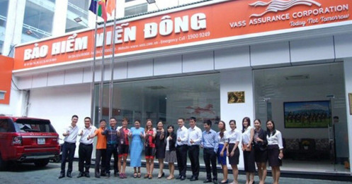 Bảo hiểm Viễn Đông của shark Liên vẫn đi lùi
