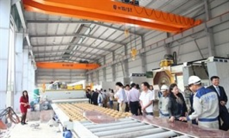 FLC AMD báo lãi quý 2 gấp đôi cùng kỳ