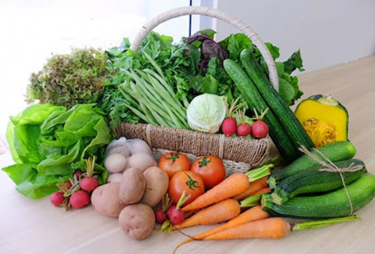 Tiệm bán hoa, hàng sửa điện thoại chuyển sang bán rau, cá để tồn tại