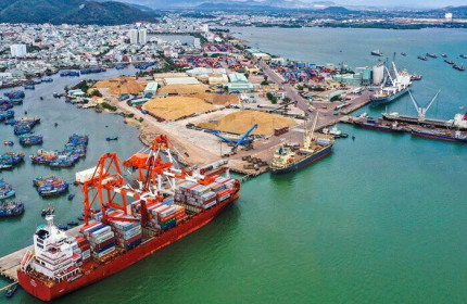 6 tháng đầu năm 2021, Cảng Quy Nhơn lãi hơn 100 tỷ đồng
