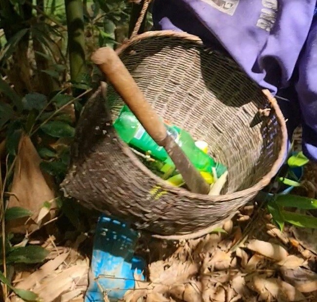 Đi tìm "lộc rừng” vào mùa mưa, người dân vùng núi kiếm tiền triệu mỗi ngày