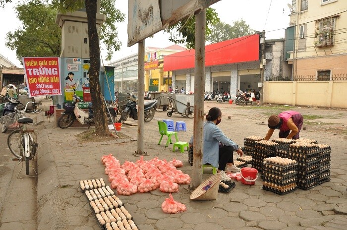 Trứng gà tăng giá gấp đôi, lái buôn tranh nhau mua, nông dân nhặt trứng không kịp bán