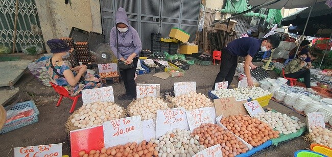 Trứng gà tăng giá gấp đôi, lái buôn tranh nhau mua, nông dân nhặt trứng không kịp bán