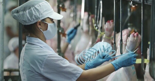 Sẽ có 'kịch bản' cung ứng thịt cho TP.HCM khi Vissan dừng sản xuất
