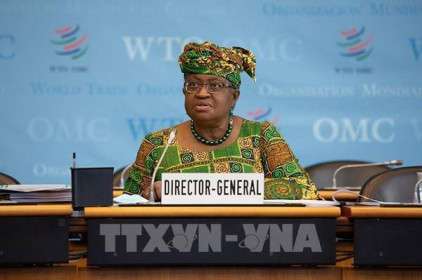 WTO cảnh báo bất bình đẳng trong tiếp cận vaccine có thể cản trở phục hồi kinh tế