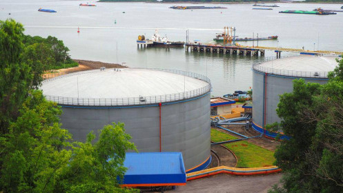 Doanh nghiệp kinh doanh xăng dầu phục hồi mạnh