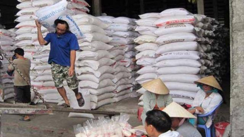 Xuất khẩu gạo "tê liệt" do đứt gãy chuỗi cung ứng