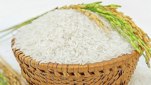 Giá lúa gạo hôm nay 7/8: Cuối tuần giá lúa gạo đi ngang