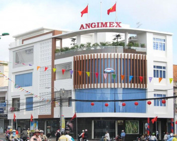 Xuất nhập khẩu An Giang (AGM): Lãi ròng quý II tăng 32% sau khi “thay máu” cổ đông lớn