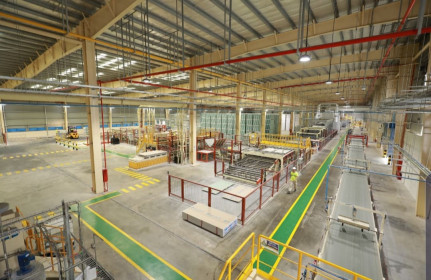 Bất động sản công nghiệp tiếp tục ‘lên ngôi’