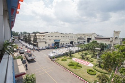 Thibidi muốn gom thêm 7.1 triệu cổ phiếu TBD