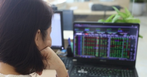 Logistics, phân bón tiếp 'cơn điên' kéo VN-Index tăng hơn 18 điểm