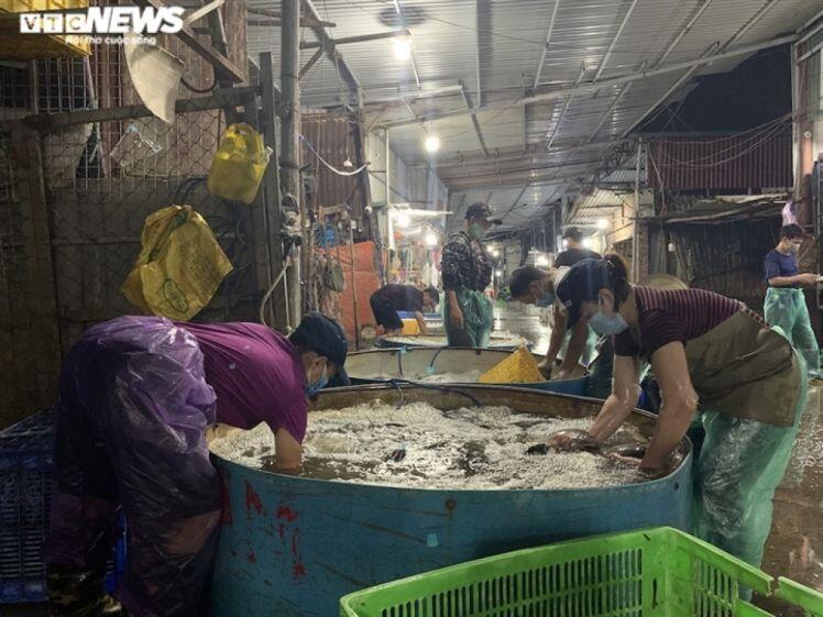 Chợ cá lớn nhất Hà Nội hoang vắng, tiểu thương nghỉ quá nửa vì Covid-19