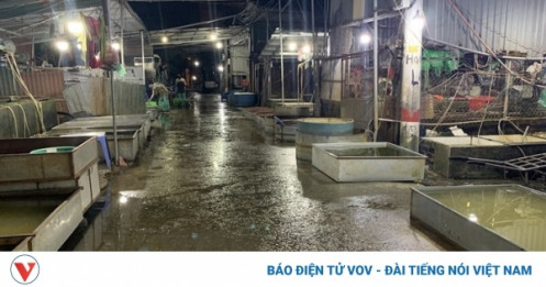 Chợ cá lớn nhất Hà Nội hoang vắng, tiểu thương nghỉ quá nửa vì Covid-19