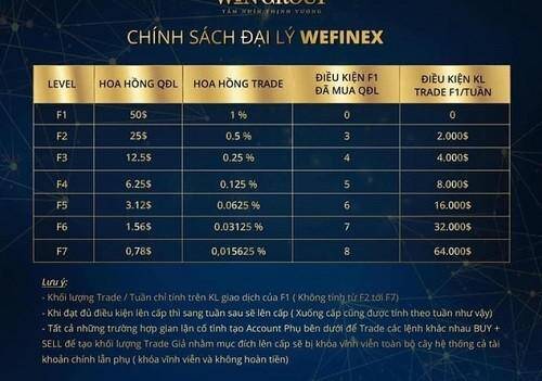 Cảnh báo "tán gia bại sản” vì chơi tiền ảo đa cấp