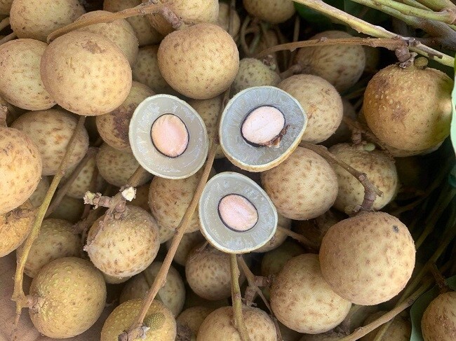 Nhãn Sông Mã rẻ hơn rau vẫn ế ẩm không có người mua