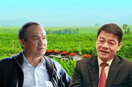 HNG báo lỗ 129 tỷ trong quý 2/2021, lỗ lũy kế vượt 2,400 tỷ đồng
