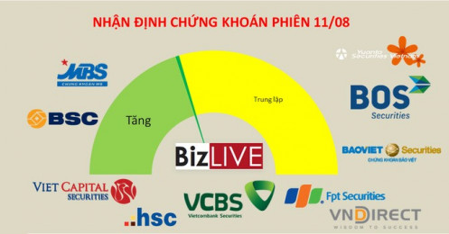 Nhận định chứng khoán 11/8: Vẫn là rung lắc, chưa có dấu hiệu xói mòn dòng tiền