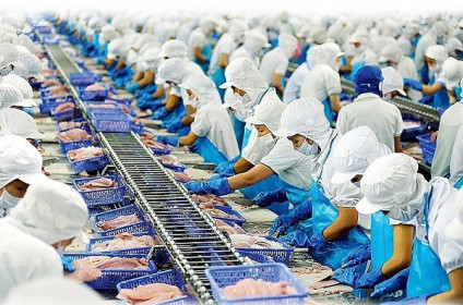Thủy sản Việt Nam sẽ mất 480 triệu USD nếu bị Ủy ban châu Âu phạt thẻ đỏ
