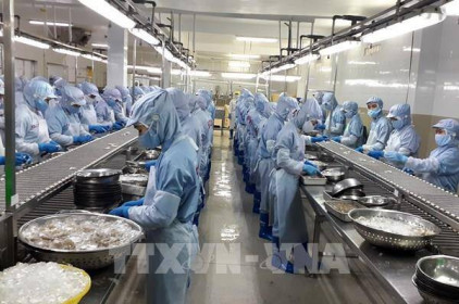 Thẻ vàng IUU tác động ra sao tới kinh tế thủy sản Việt Nam?