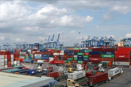 Giúp các doanh nghiệp xuất nhập khẩu ổn định chuỗi sản xuất