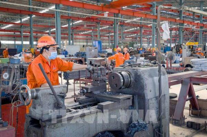 Nhiều doanh nghiệp TP. HCM dự kiến cắt giảm lao động trong quý III