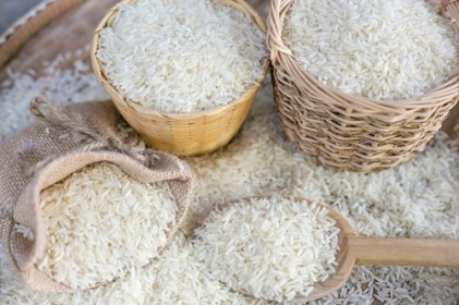 Giá lúa gạo hôm nay 10/8: Giá lúa tăng nhẹ, giá gạo tăng giảm trái chiều