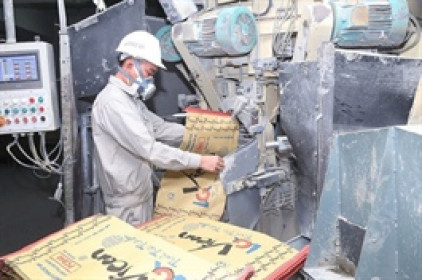 Lợi nhuận bán niên 2021 của BPC sụt giảm 63% do đâu?