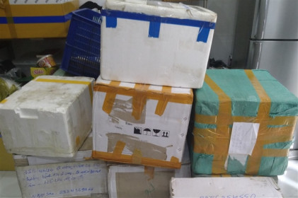 Bắt quả tang lô thuốc hỗ trợ điều trị COVID-19 nhập lậu vào TP.HCM