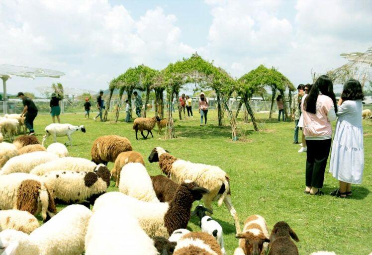 Doanh nghiệp với sự thanh lọc nghiệt ngã của tự nhiên