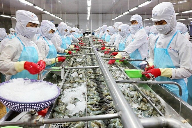 Công ty thủy sản gây xôn xao khi từ chối ưu đãi giảm lãi suất của ngân hàng