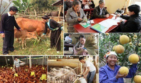 Phấn đấu giai đoạn 2021 2025 tỉ lệ hộ nghèo giảm 1 1,5%/năm