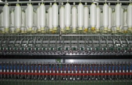 ADS lên kế hoạch phát hành 10 triệu cổ phiếu với giá chỉ bằng 1/3 thị giá