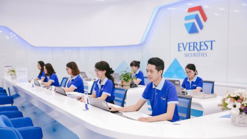 Chứng khoán Everest 'thắng đậm' nhờ cổ phiếu NVB, GMA