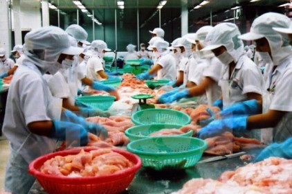 Thuỷ sản Vĩnh Hoàn lên kế hoạch góp vốn dự án thuỷ sản tại Đồng Tháp