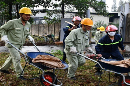 Nhiệt điện Phả Lại ghi nhận doanh thu cao từ cổ tức