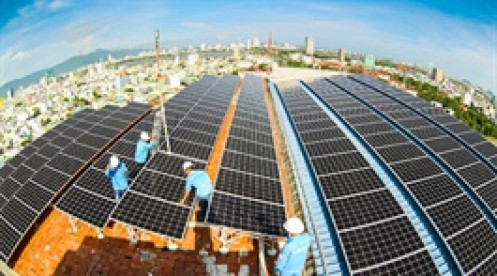 CRC muốn huy động 150 tỷ đồng, chuyển dần sang kinh doanh năng lượng tái tạo