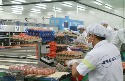 Rao 2 năm không ai hỏi, đại hạ giá 280 tỷ bán nhà máy bị siết nợ