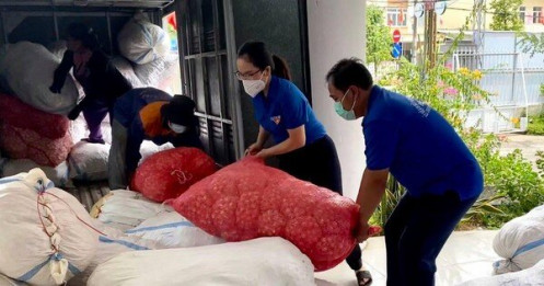 Tỏi Lý Sơn tiêu thụ hàng chục tấn nhờ đưa lên mạng xã hội, chở tận nơi miễn phí