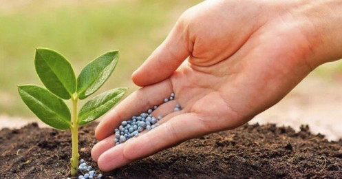 Doanh nghiệp phân bón đua nhau lãi lớn quý 2/2021 nhờ giá bán tăng cao, Đạm Hà Bắc vẫn lỗ hơn trăm tỷ