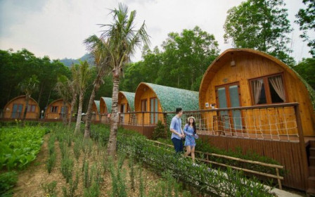 Hùn vốn đầu tư farmstay, nên hay không?