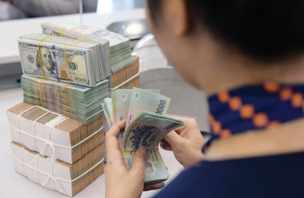 Tăng trưởng lợi nhuận của ngân hàng tư nhân sẽ tiếp tục 'lấn lướt' ngân hàng quốc doanh?